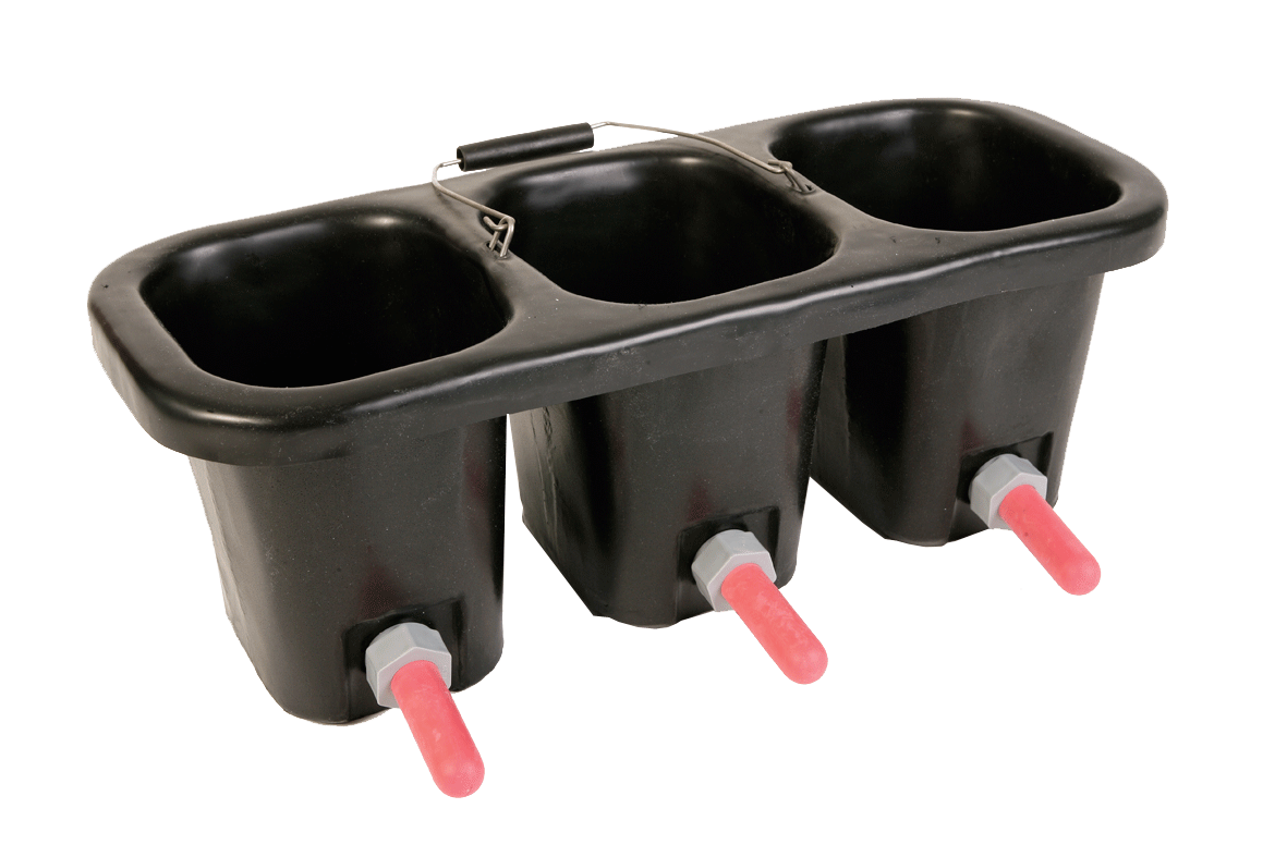 Calf Milk Feeder Triple Bucket