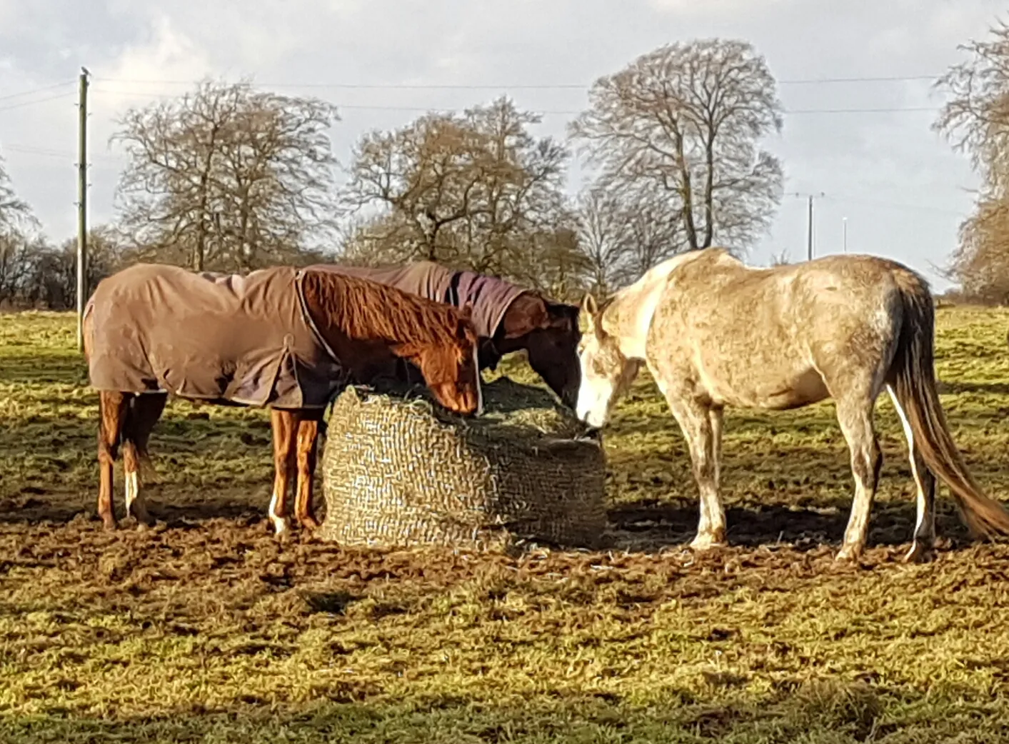 Trickle Net Round Bale Net