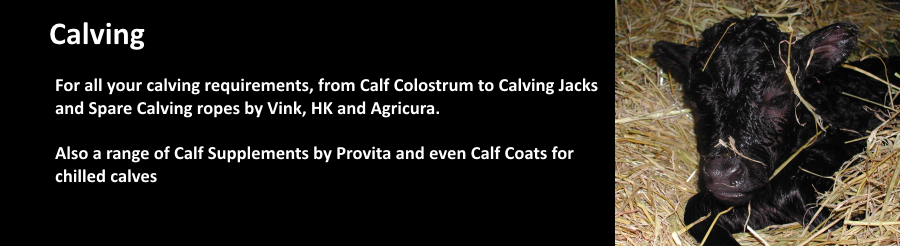 Calving