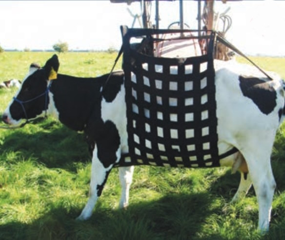 Shoof Lifter Liftease Complete Cattle & Horse Lifter with Hardwa