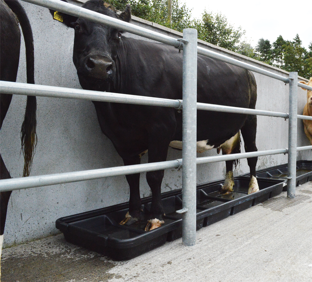 JFC Cattle Footbath 2.5m Interlocking Cow/Sheep (Smooth Base) Fo