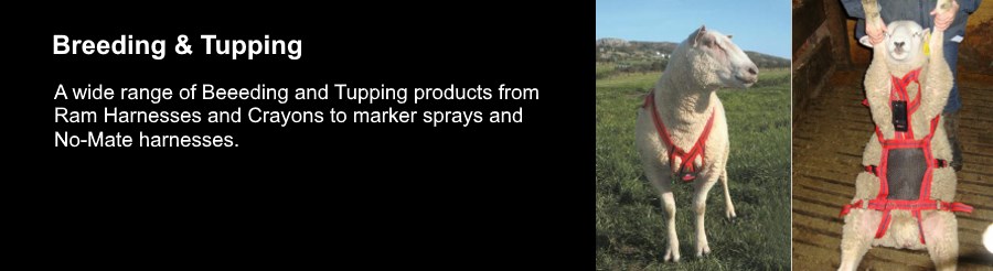 Breeding & Tupping