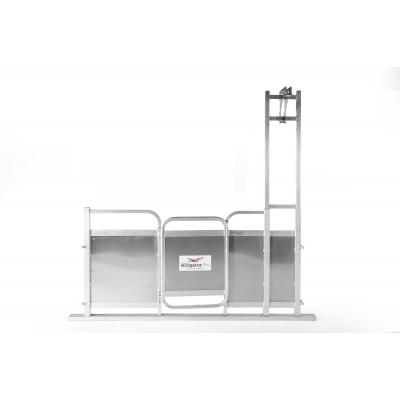 Alligator Sheep Shearing Pen Wall Standard