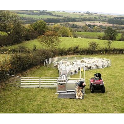 Alligator 200 basic trailer sheep-handling system