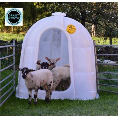 JFC Large Single Lambing Pen CH110