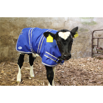 JFC Calf Jackets Pack of 4