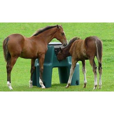 JFC Ringfort Foal Creep Feeder fcf01