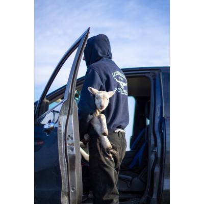 Longhorn Shearing Original Hoodie