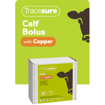 Animax Tracesure Calf Bolus with Copper pack of 20