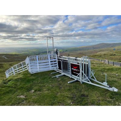 Alligator Pro SK Sheep Handling System