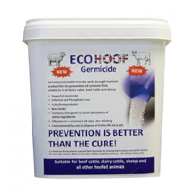 Hoof Care & Footbath