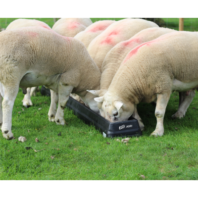 JFC Sheep Ground Feed Trough 6ft pack of 2 - FT6