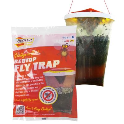 Fly Papers & Traps