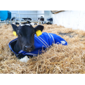 JFC Calf Jacket_3