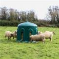 JFC Sheep Haybell Feeder HB02_3