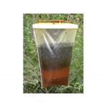 Red Top Fly Trap