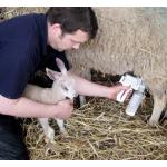 Udderly EZ Sheep Milker / Colostrum Milker