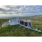 Alligator Pro SK Sheep Handling System