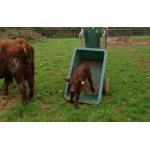JFC Fixed Body Wheelbarrow 250L TWBg250