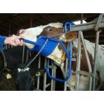 Vink Cattle Head Support