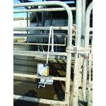 Shoof Hoof Lifter Complete Mk2