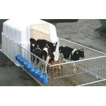 JFC Super Calf Group Hutch 8 Calves CH300