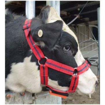 Chinmark Bull Mating Harness_1