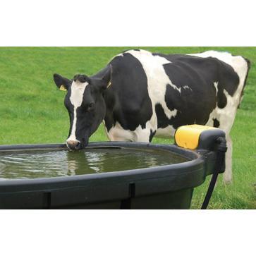 JFC Fast-Fill Oval Water Trough (1000L/220 gal) DT1000FF_1