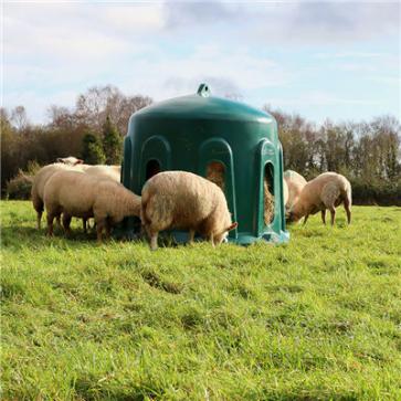 JFC Sheep Haybell Feeder HB02_1