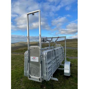 Alligator Pro SK Sheep Handling System_1