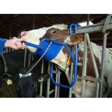 Vink Cattle Head Support