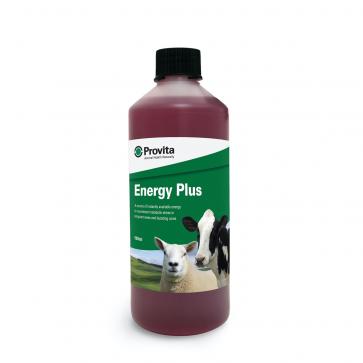 Provita Energy Plus for Ewes 500ml